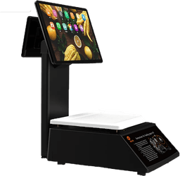 Aurora Y3L-AI PC Based Scale